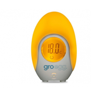 The Gro Egg: Our Review