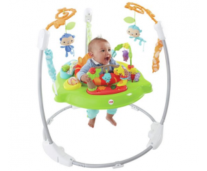 best fisher price jumperoo